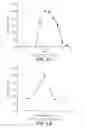 Fig. 12 - NOVEL METALLOPROTEASES