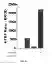 Fig. 05 - Parkin ligase activation methods and compositions