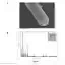 Fig. 08 - Probiotic bacteria comprising metals, metal nanoparticles and uses thereof
