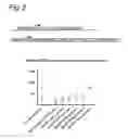 Fig. 04 - Stringent selectable markers