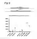 Fig. 10 - Stringent selectable markers