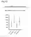 Fig. 13 - Stringent selectable markers