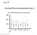 Fig. 16 - Stringent selectable markers