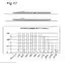 Fig. 18 - Stringent selectable markers
