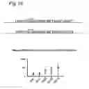 Fig. 19 - Stringent selectable markers