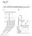 Fig. 22 - Stringent selectable markers