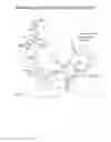 Fig. 02 - DNA molecules and methods