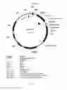 Fig. 13 - DNA molecules and methods