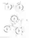 Fig. 19 - DNA molecules and methods