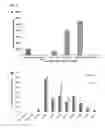 Fig. 06 - CRYPTOSPORIDIUM TRANSFECTION METHODS AND TRANSFECTED CRYPTOSPORIDIUM CELLS