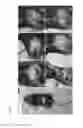 Fig. 08 - CRYPTOSPORIDIUM TRANSFECTION METHODS AND TRANSFECTED CRYPTOSPORIDIUM CELLS