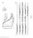 Fig. 03 - Minimal vectors for genome integration