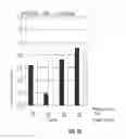 Fig. 23 - Yeast strains