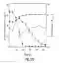 Fig. 37 - Yeast strains