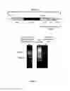 Fig. 04 - Modified algae strain and method of triacylglycerol accumulation using said strain