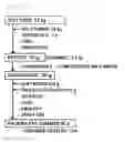 Fig. 04 - Method for producing pulverulent ceramide