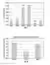 Fig. 12 - Plants expressing cell wall degrading enzymes and expression vectors