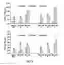 Fig. 17 - Plants expressing cell wall degrading enzymes and expression vectors