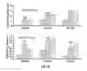 Fig. 18 - Plants expressing cell wall degrading enzymes and expression vectors