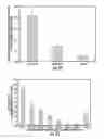 Fig. 23 - Plants expressing cell wall degrading enzymes and expression vectors