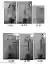 Fig. 26 - Plants expressing cell wall degrading enzymes and expression vectors