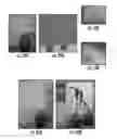 Fig. 27 - Plants expressing cell wall degrading enzymes and expression vectors