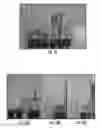 Fig. 28 - Plants expressing cell wall degrading enzymes and expression vectors