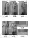 Fig. 29 - Plants expressing cell wall degrading enzymes and expression vectors