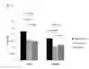 Fig. 09 - COMPOSITION FOR EVALUATING OR PREDICTING PATIENTS THERAPEUTIC RESPONSE TO METHORMIN