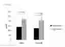 Fig. 13 - COMPOSITION FOR EVALUATING OR PREDICTING PATIENTS THERAPEUTIC RESPONSE TO METHORMIN