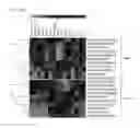Fig. 37 - COMPOSITION FOR EVALUATING OR PREDICTING PATIENTS THERAPEUTIC RESPONSE TO METHORMIN