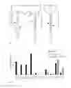 Fig. 02 - AMDINOCILLIN FOR RAPID DETERMINATION OF SUSCEPTIBILITY TO BETA-LACTAM ANTIBIOTICS