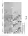 Fig. 03 - In situ hybridization method and buffer