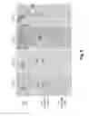 Fig. 06 - In situ hybridization method and buffer