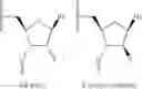 Fig. 02 - METHODS OF PREDICTING TOXICITY