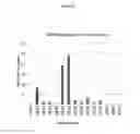 Fig. 06 - Neprilysin Gene Polymorphism and Amyloid Beta Plaques in Traumatic Brain Injury