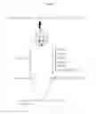 Fig. 02 - Method for detecting genes sensitive to low-level ionizing radiation, and gene detected by the method