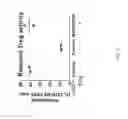 Fig. 03 - METHODS AND BIOMARKERS FOR PREDICTING EFFICACY AND EVALUATION OF AN OX40 AGONIST TREATMENT
