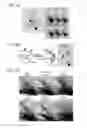 Fig. 03 - Compositions and methods for characterizing a DNA repair variant polypeptide