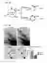 Fig. 05 - Compositions and methods for characterizing a DNA repair variant polypeptide