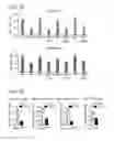 Fig. 11 - Compositions and methods for characterizing a DNA repair variant polypeptide