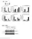 Fig. 17 - Compositions and methods for characterizing a DNA repair variant polypeptide