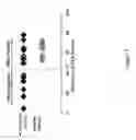 Fig. 09 - METHODS AND MATERIALS FOR PREDICTING RESPONSE TO NIRAPARIB