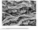 Fig. 02 - Process for retanning leather