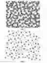 Fig. 02 - AMORPHOUS THIN METAL FILM