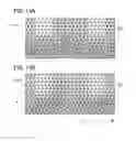 Fig. 14 - METHOD FOR MANUFACTURING SPUTTERING TARGET, METHOD FOR FORMING OXIDE FILM, AND TRANSISTOR