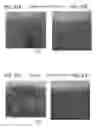 Fig. 38 - METHOD FOR MANUFACTURING SPUTTERING TARGET, METHOD FOR FORMING OXIDE FILM, AND TRANSISTOR
