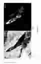 Fig. 04 - Nanocomposite refractory coatings and applications thereof