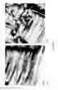 Fig. 06 - Nanocomposite refractory coatings and applications thereof