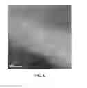 Fig. 05 - Metal oxide film structure
